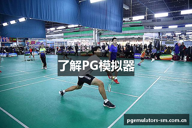 了解PG模拟器